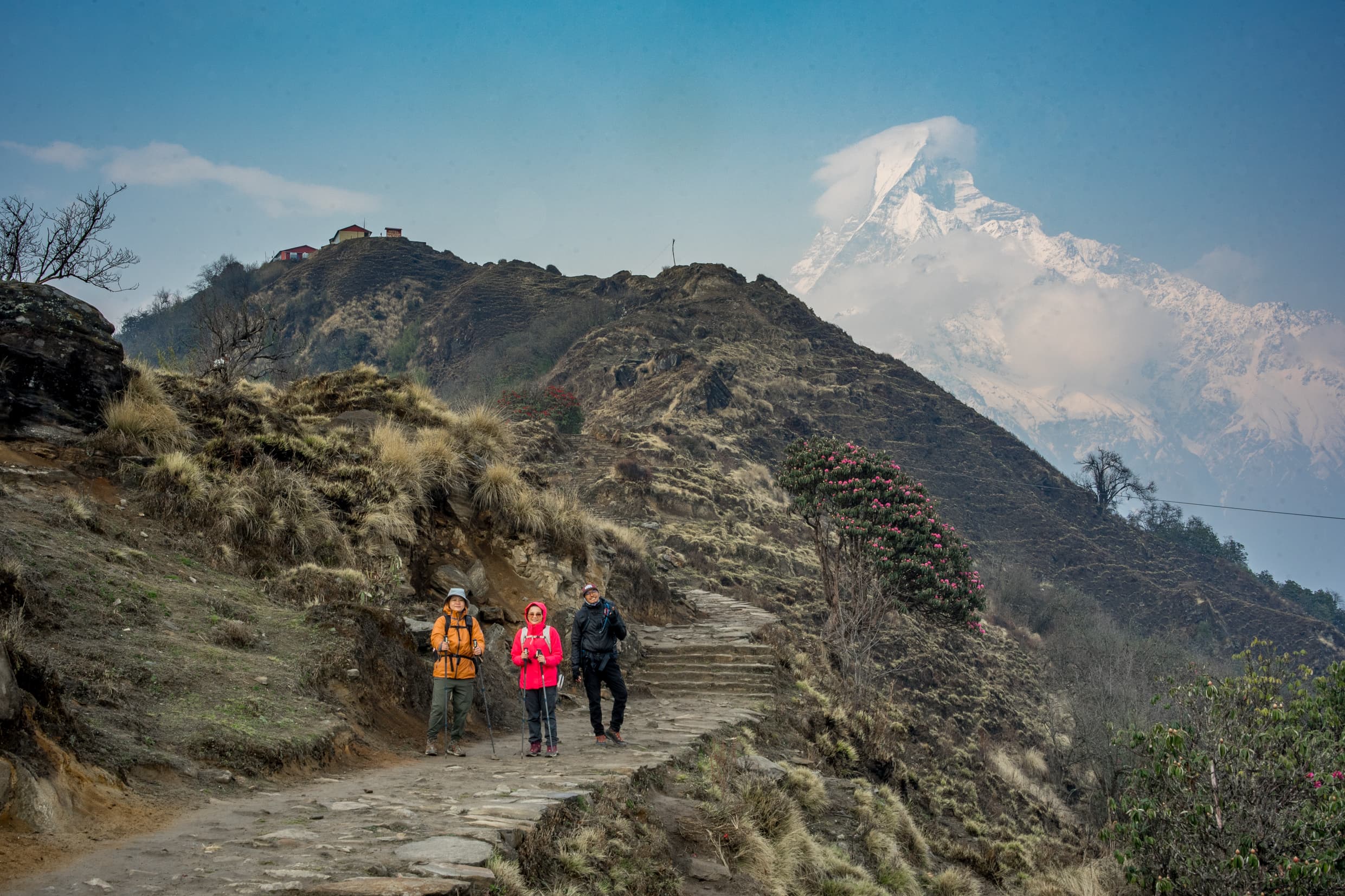 Mountain summit