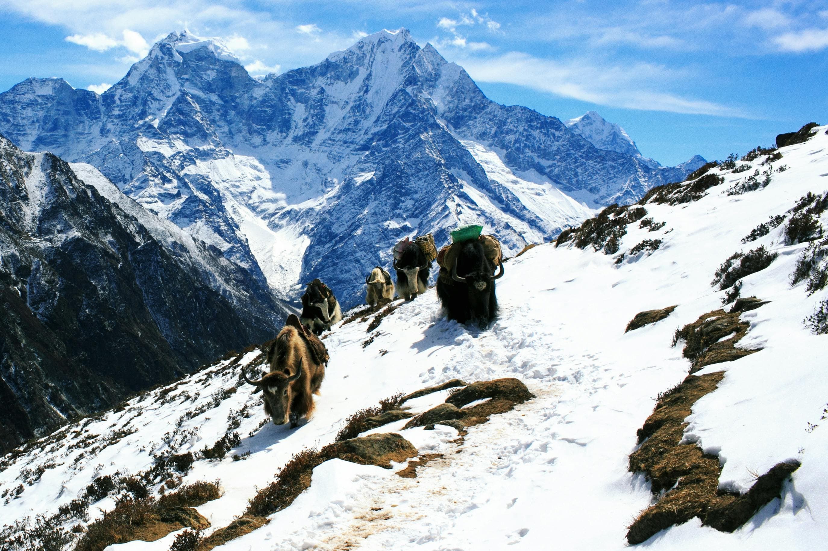 Mera Peak Trek